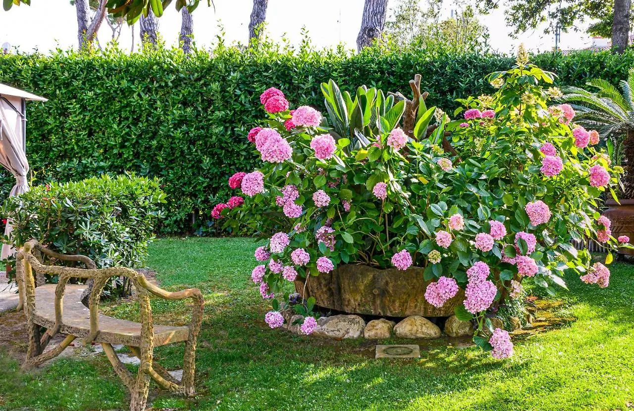 Hotel Ambra Forte dei Marmi